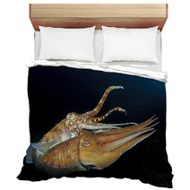 Cuttlefish Pair Sex Mating Bedding 76615867
