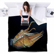 Cuttlefish Pair Sex Mating Blankets 76615867