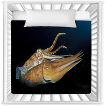 Cuttlefish Pair Sex Mating Nursery Decor 76615867