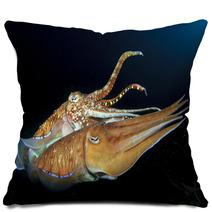 Cuttlefish Pair Sex Mating Pillows 76615867
