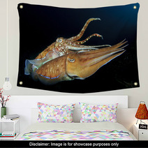 Cuttlefish Pair Sex Mating Wall Art 76615867
