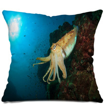 Cuttlefish Underwater In Ocean Pillows 76708659