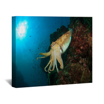 Cuttlefish Underwater In Ocean Wall Art 76708659