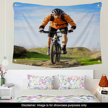 Cyclist Riding The Bike On The Beautiful Mountain Trail Wall Art 60212128