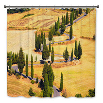Cypress Tree Scenic Road In Monticchiello Near Siena, Tuscany, I Bath Decor 59525559