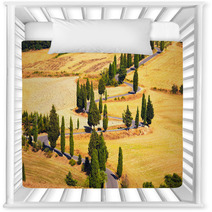 Cypress Tree Scenic Road In Monticchiello Near Siena, Tuscany, I Nursery Decor 59525559