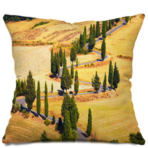 Cypress Tree Scenic Road In Monticchiello Near Siena, Tuscany, I Pillows 59525559