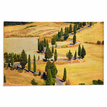 Cypress Tree Scenic Road In Monticchiello Near Siena, Tuscany, I Rugs 59525559