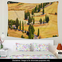 Cypress Tree Scenic Road In Monticchiello Near Siena, Tuscany, I Wall Art 59525559