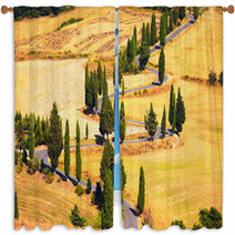 Cypress Tree Scenic Road In Monticchiello Near Siena, Tuscany, I Window Curtains 59525559