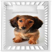 Dachshund Puppy Nursery Decor 62337958