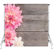 Dahlia On Wooden Background Backdrops 62405003