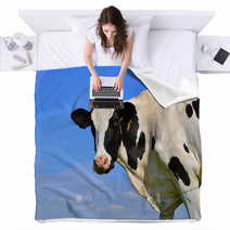 Dairy Cows On Farmland Blankets 67233194