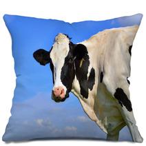 Dairy Cows On Farmland Pillows 67233194