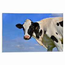 Dairy Cows On Farmland Rugs 67233194