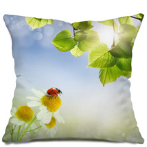 Daisies Field And Ladybug Pillows 61583104