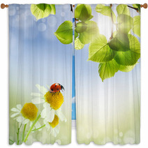 Daisies Field And Ladybug Window Curtains 61583104
