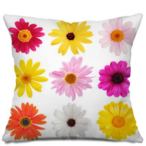 Daisy Collection Pillows 3064620