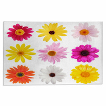 Daisy Collection Rugs 3064620