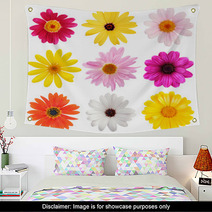 Daisy Collection Wall Art 3064620