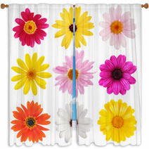 Daisy Collection Window Curtains 3064620
