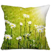 Daisy Field Pillows 66805302