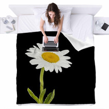Daisy Flower Blankets 66608079