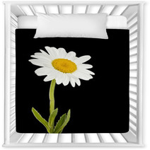 Daisy Flower Nursery Decor 66608079