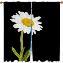 Daisy Flower Window Curtains 66608079