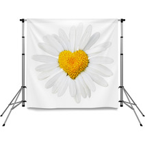 Daisy With Heart In Center Backdrops 7230809