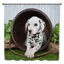 Dalmatian Puppy Bath Decor 62343327