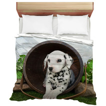 Dalmatian Puppy Bedding 62343327