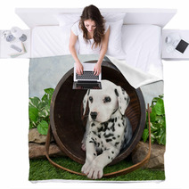 Dalmatian Puppy Blankets 62343327