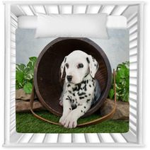 Dalmatian Puppy Nursery Decor 62343327