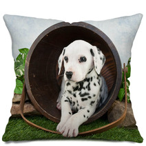 Dalmatian Puppy Pillows 62343327