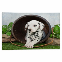 Dalmatian Puppy Rugs 62343327