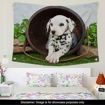 Dalmatian Puppy Wall Art 62343327