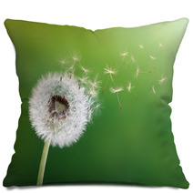 Dandelion Clock In Morning Sun Pillows 51961563