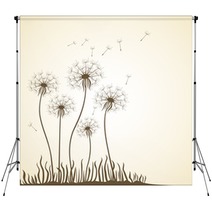 Dandelion. Floral Design. Backdrops 12215799
