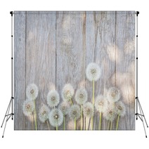 Dandelion Flowers On Wood Backdrops 84544830