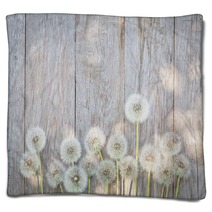 Dandelion Flowers On Wood Blankets 84544830