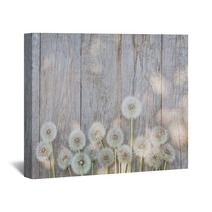 Dandelion Flowers On Wood Wall Art 84544830