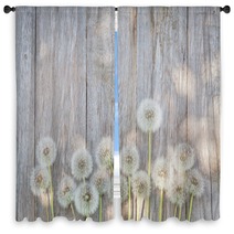 Dandelion Flowers On Wood Window Curtains 84544830