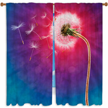 Dandelion On The Long Stem With Flying Seeds Window Curtains 52086991