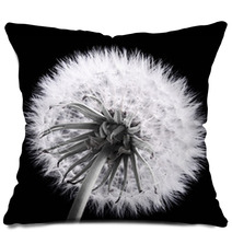Dandelion Pillows 66806872