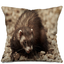 Dark Ferret Female Pillows 88696658