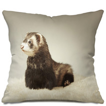 Dark Ferret In Studio Pillows 99011567