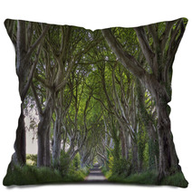 Dark Hedges Road Pillows 53315276