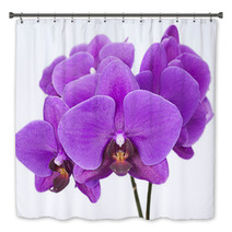 Dark Purple Orchid Isolated On White Background Bath Decor 60883147