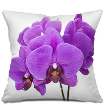 Dark Purple Orchid Isolated On White Background Pillows 60883147